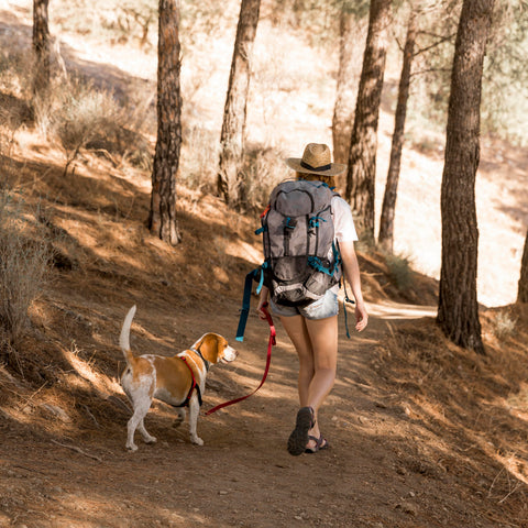 Femme marchant avec son chien en laisse sur un sentier en forêt à Val-David